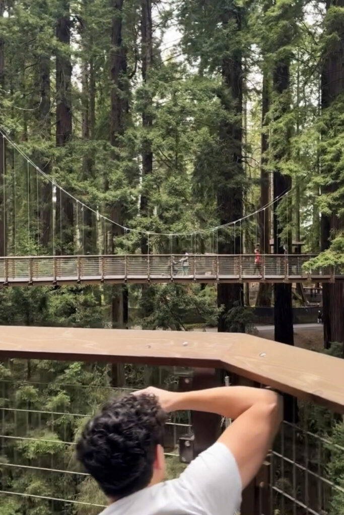 Sequoia Park Zoo sky walk proposal behind the scenes